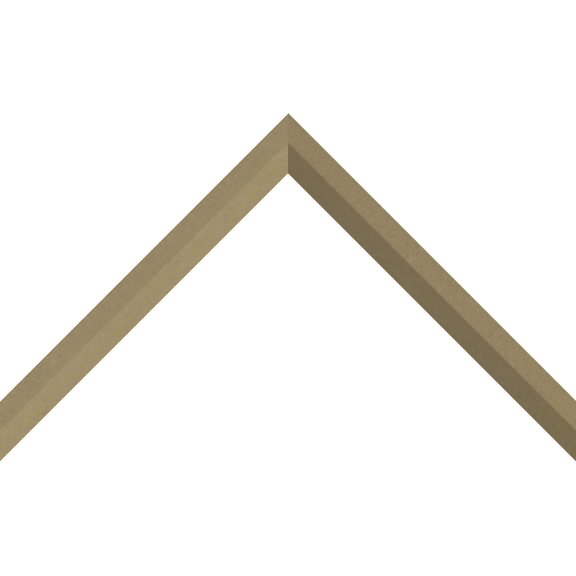 LL-A207