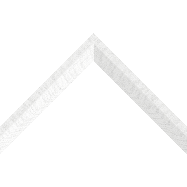 LL-B101