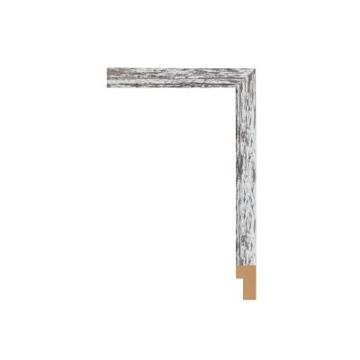 FR-BW217-1605