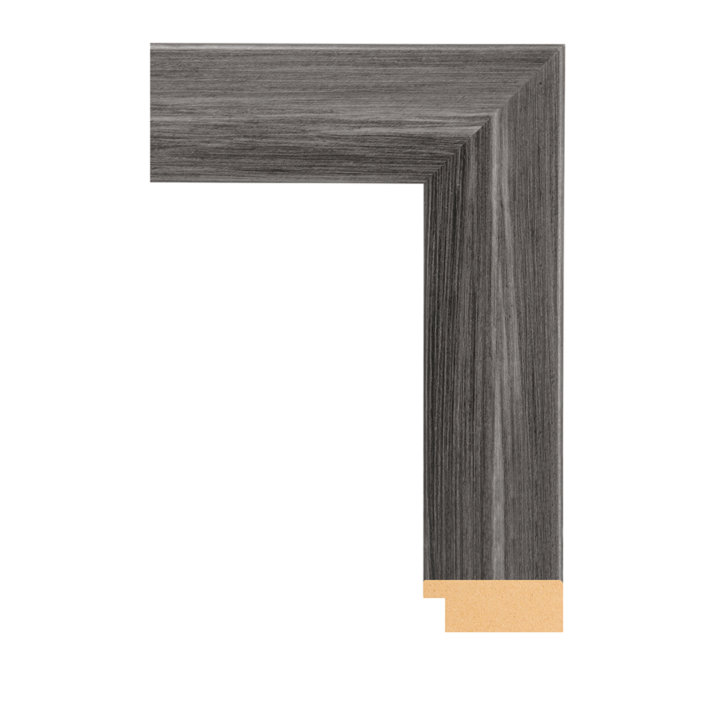 FR-BW74-677