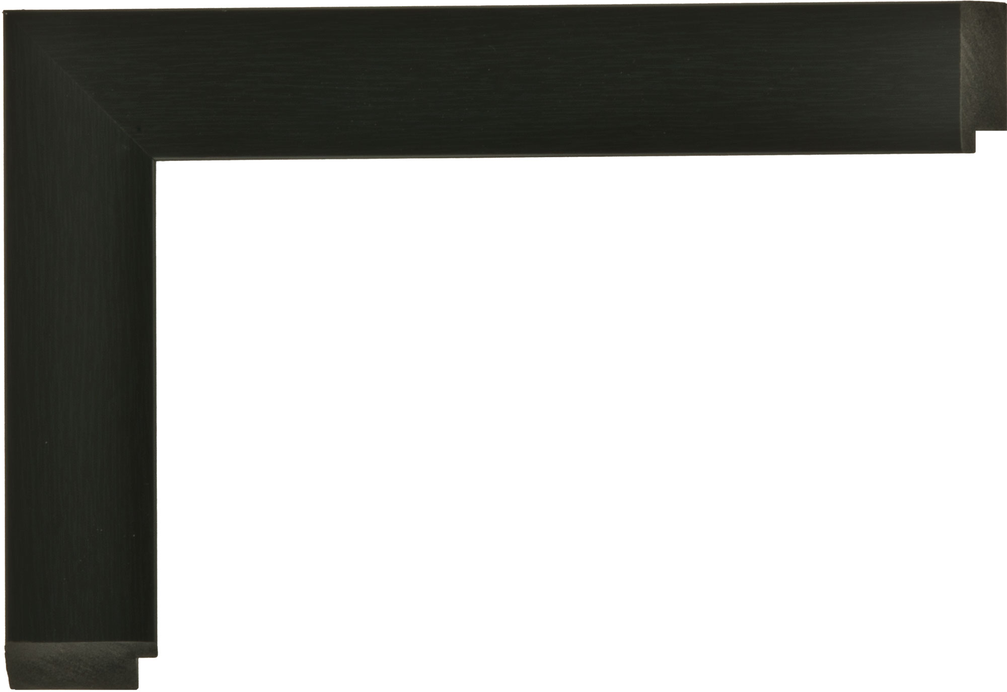 W-1031