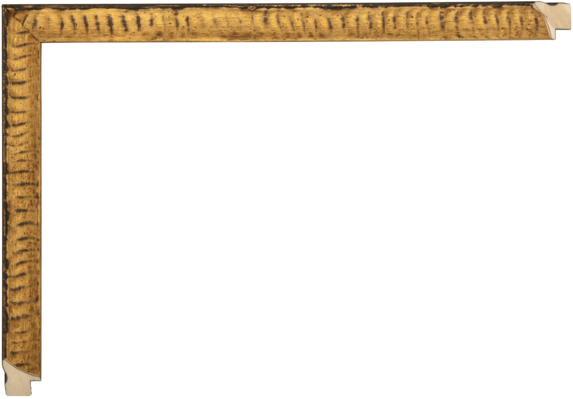 W-8831